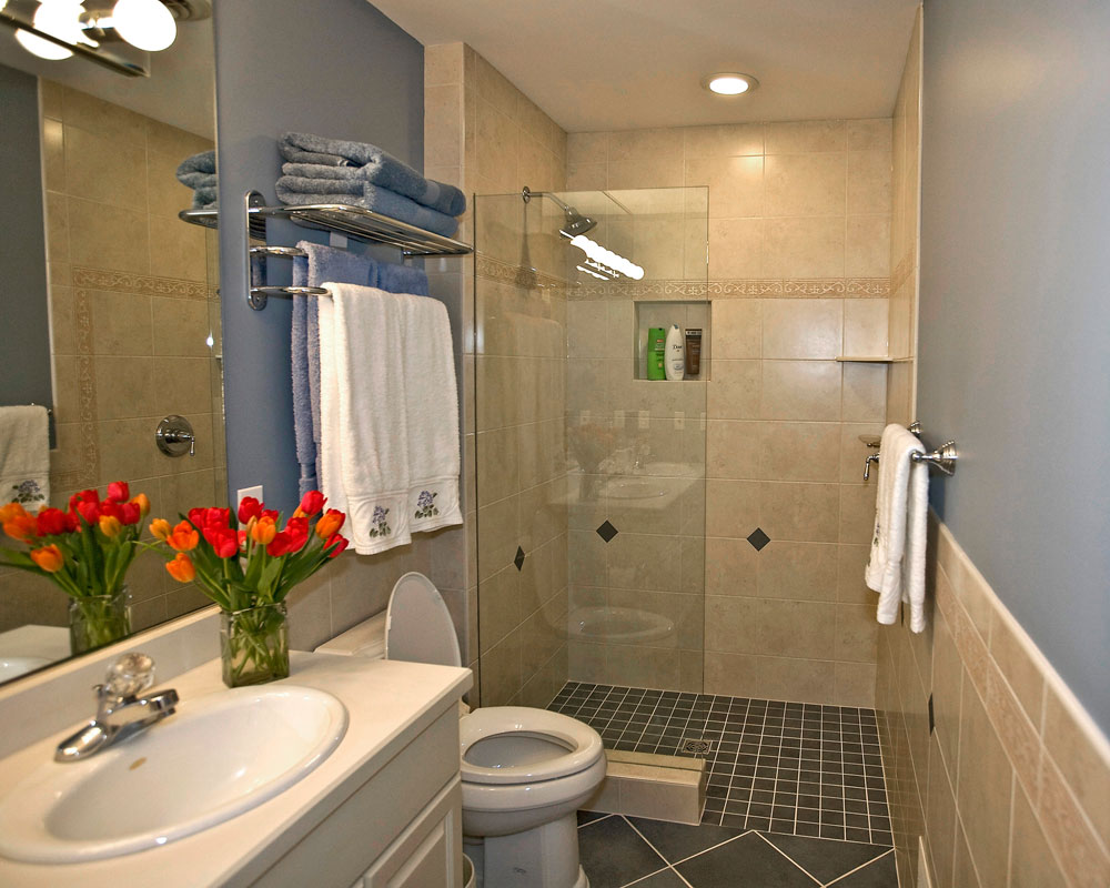 shower budget small bathroom ideas