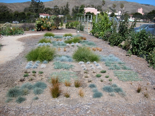 Alternatives To Grass In Backyard Photo - 5 Design Your Home Alternatives to grass in backyard Photo – 5 - Alternatives To Grass In Backyard Photo - 5 Design Your Home