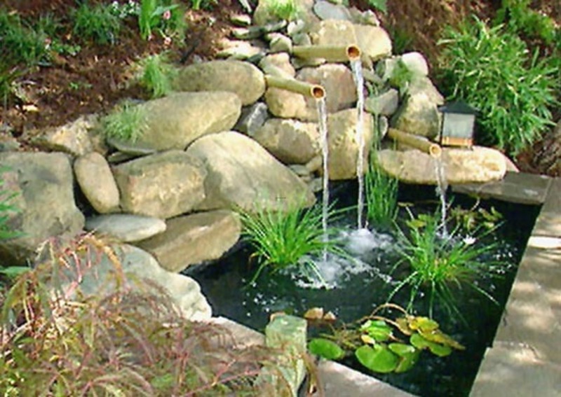backyard design pictures photo - 1