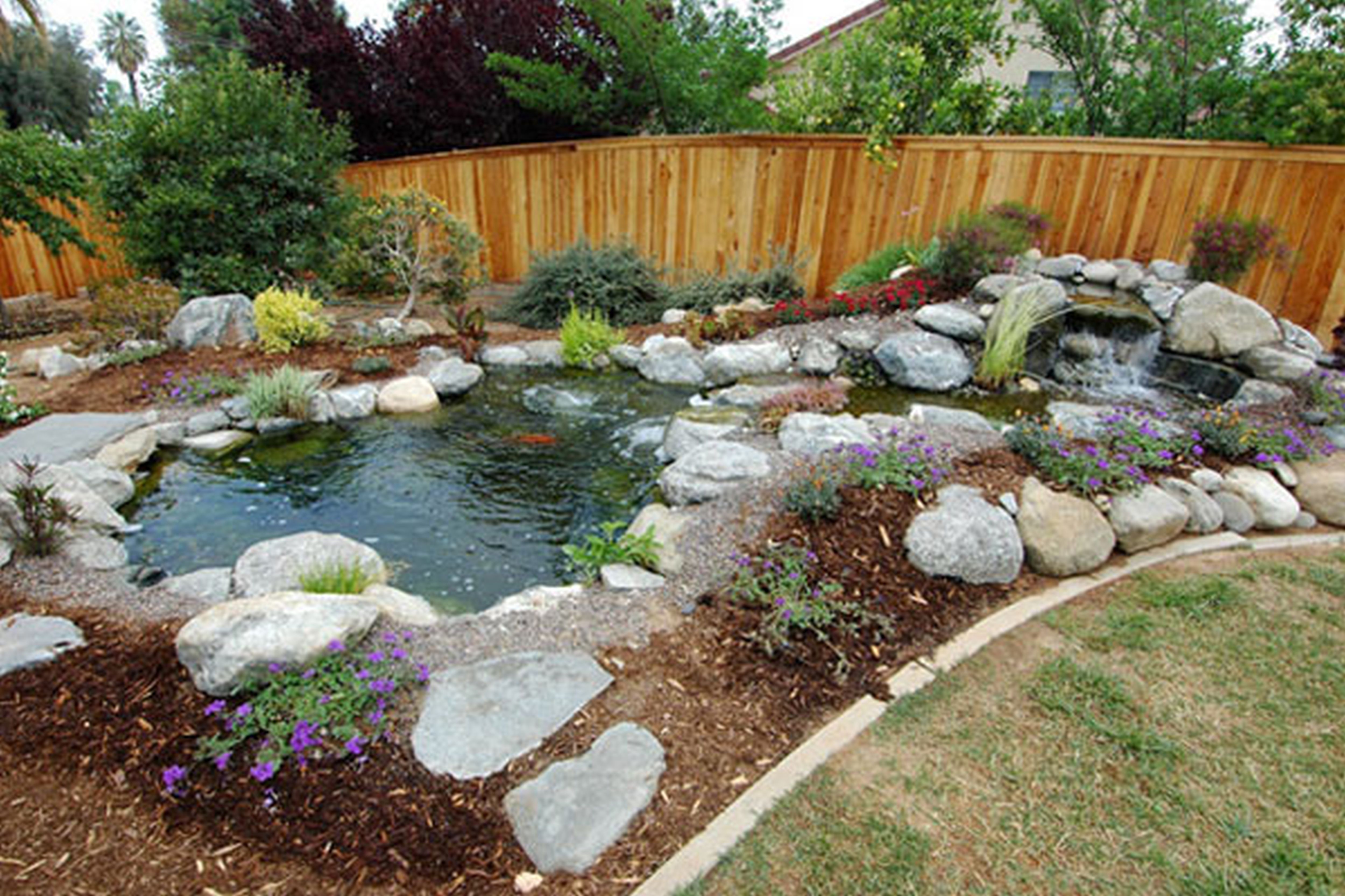 backyard inground pools photo - 1