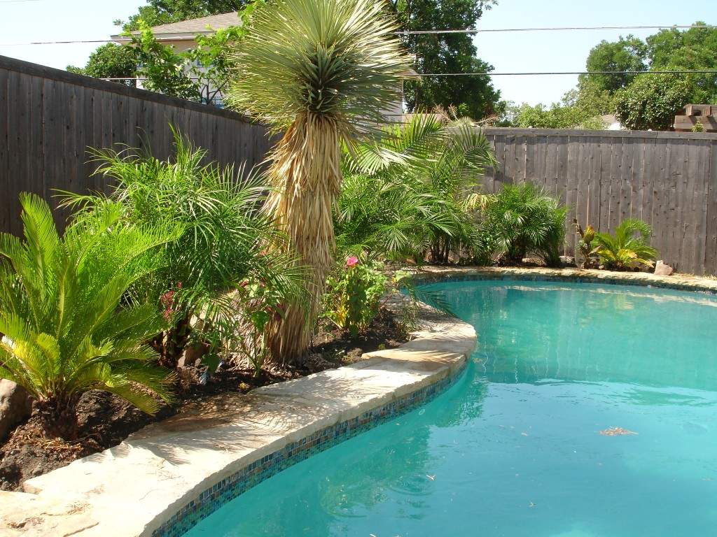 backyard landscaping design photo - 1