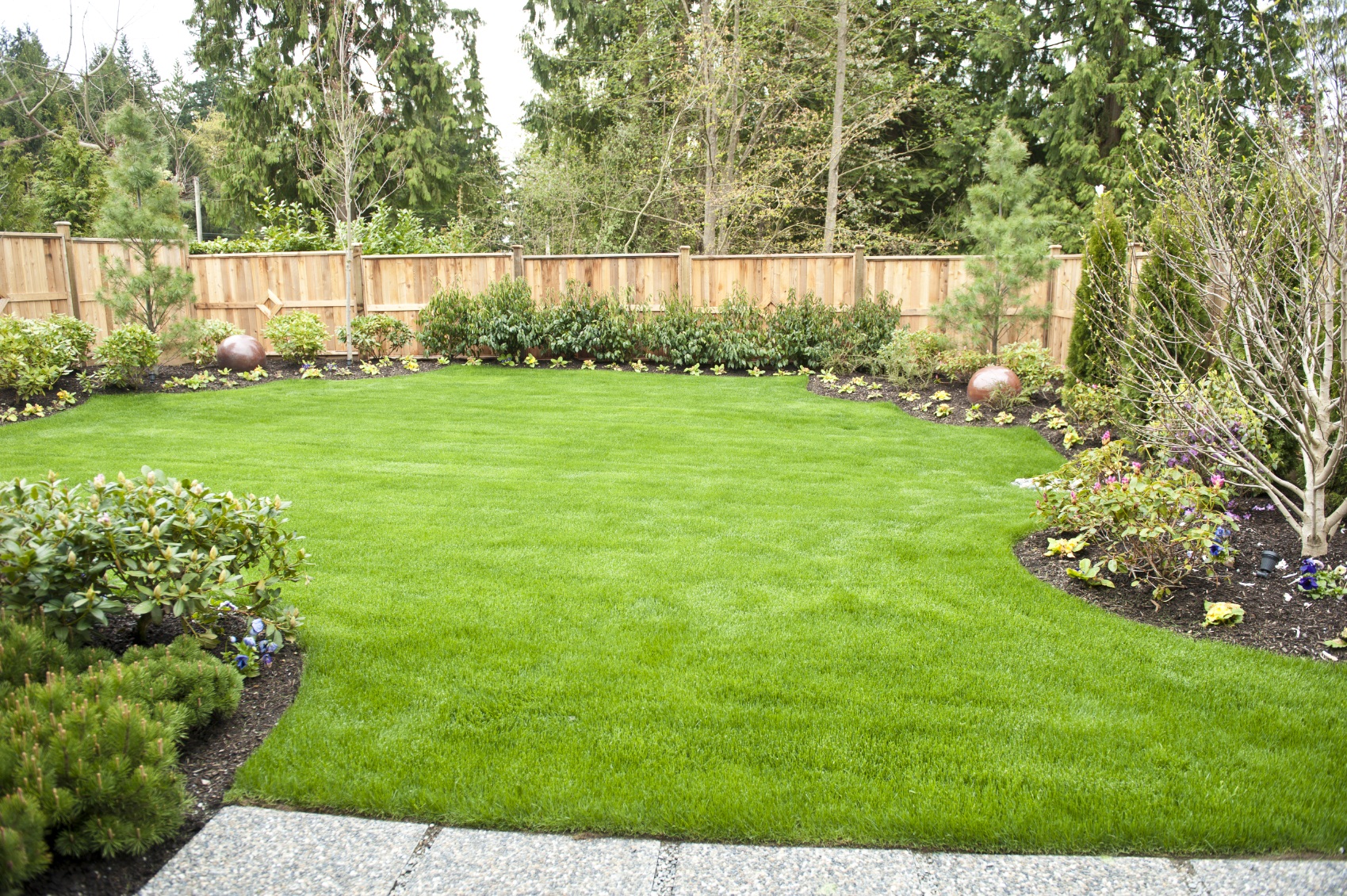 Backyard Landscaping For Privacy Large And Beautiful Photos