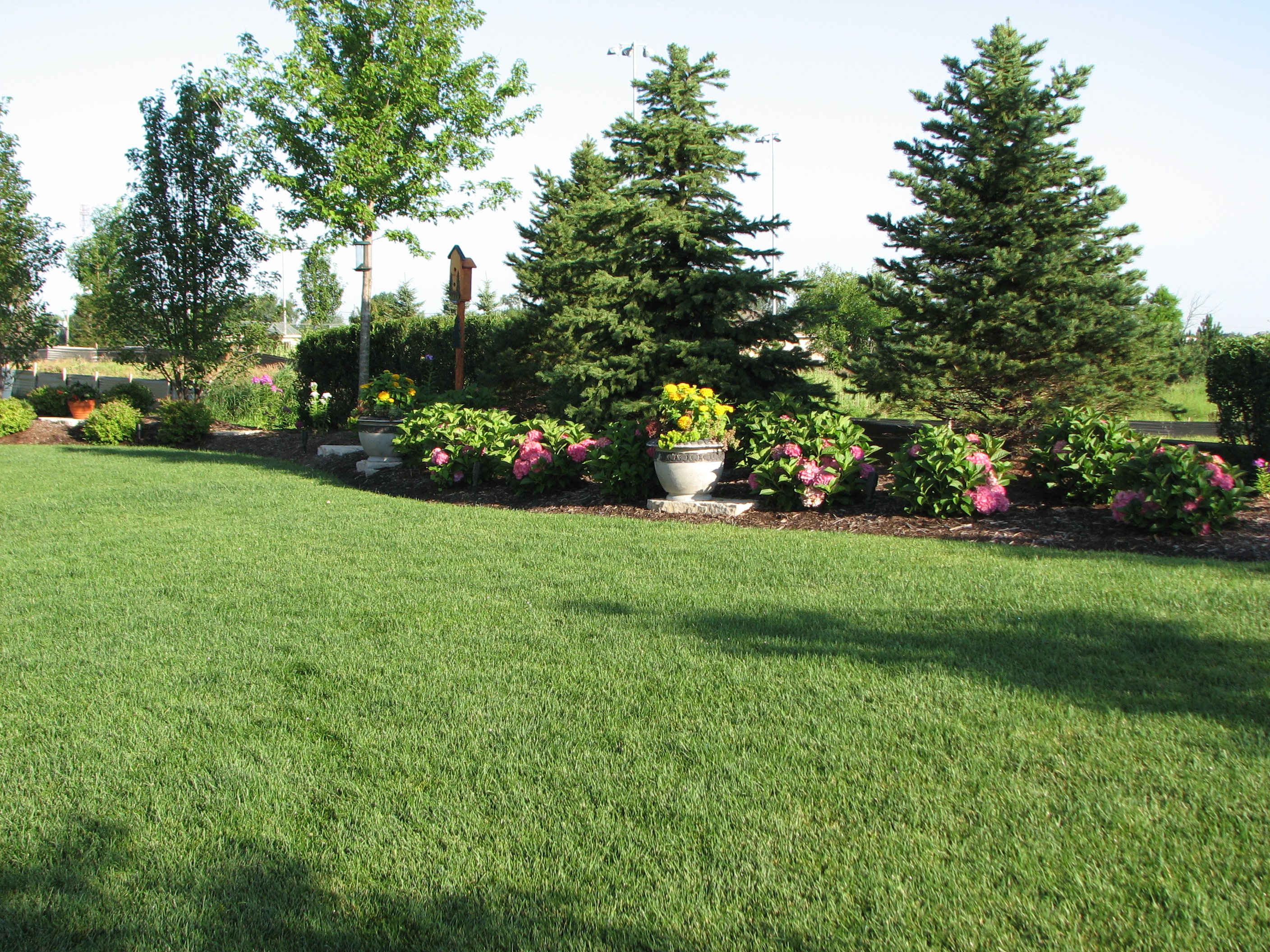 backyard privacy landscaping ideas photo - 1