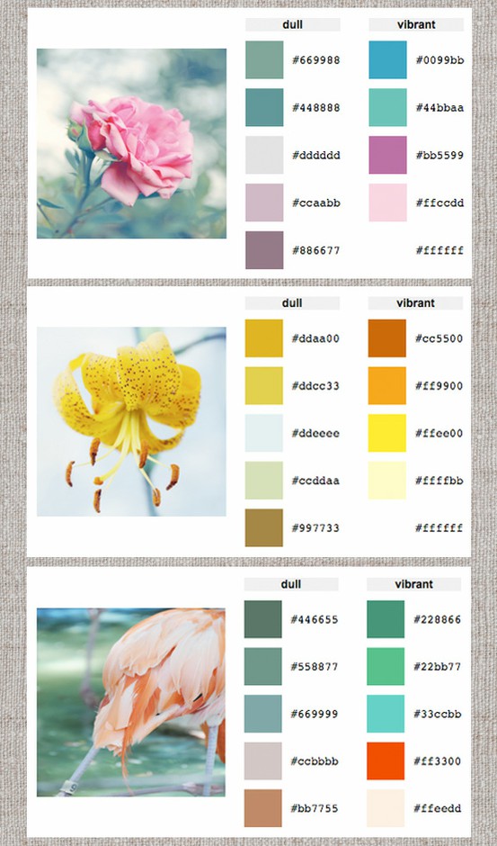 bedroom color palette generator photo - 1