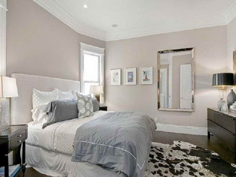 best color paint for bedroom photo - 2