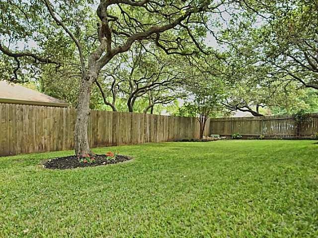 best shade trees for backyard photo - 2