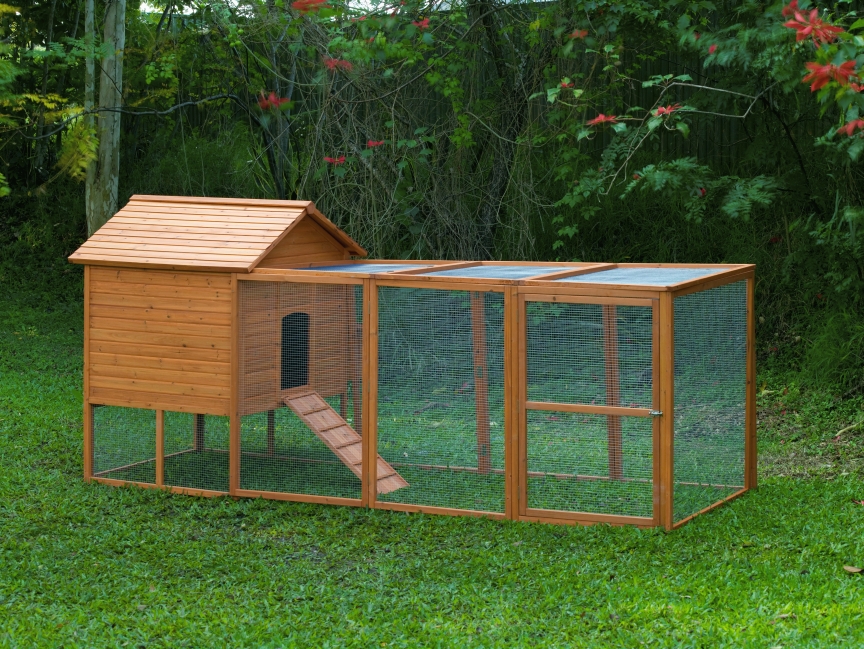 build backyard chicken coop photo - 1