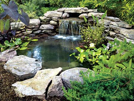 build your own backyard pond photo - 2