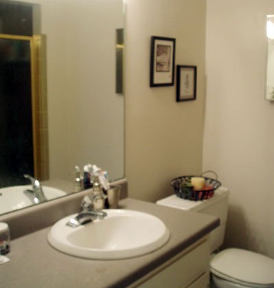 cheap bathroom makeover photo - 1