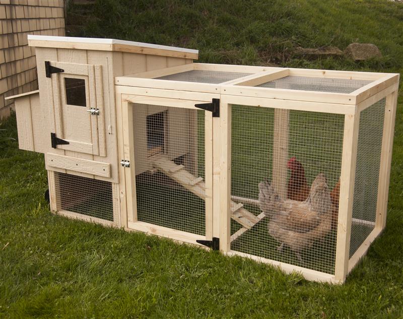 chicken coop backyard photo - 2