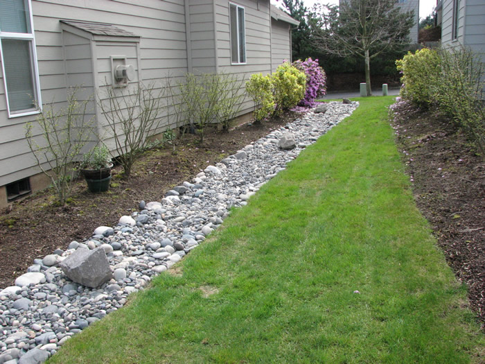 french drain backyard photo - 1