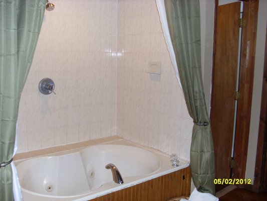 garden tub shower combination photo - 1