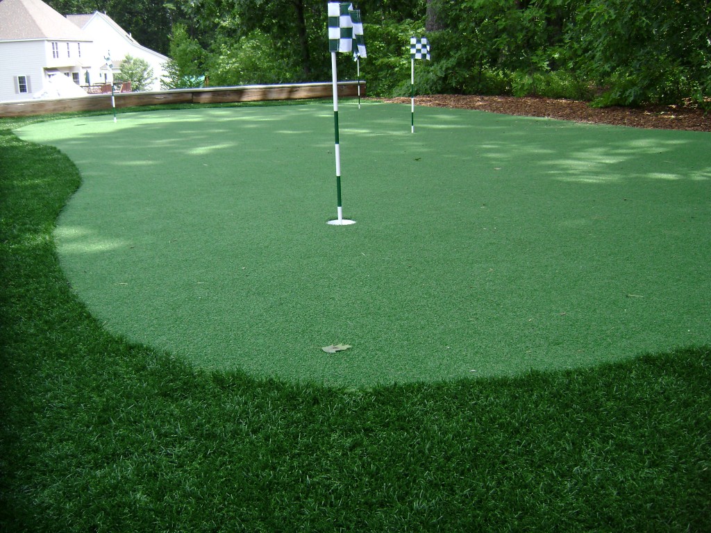 golf putting greens for backyard photo - 1