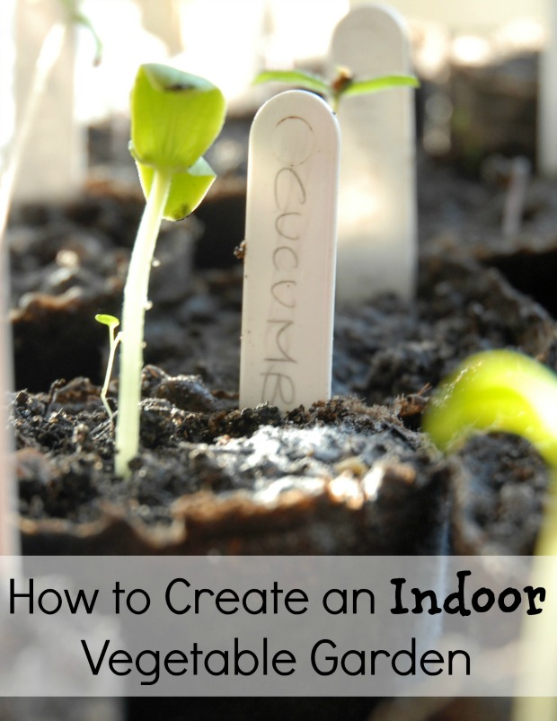 how to create an indoor garden photo - 2