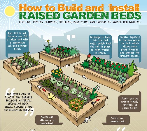 how to do raised garden beds photo - 2