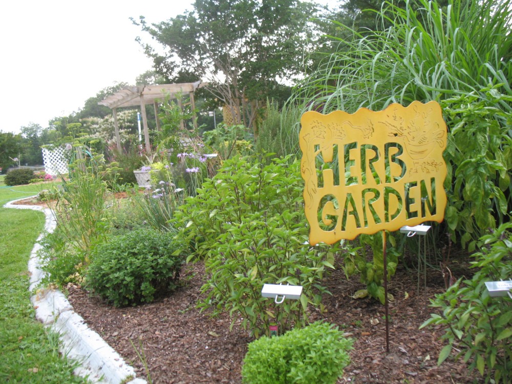 how to grow a herb garden photo - 2