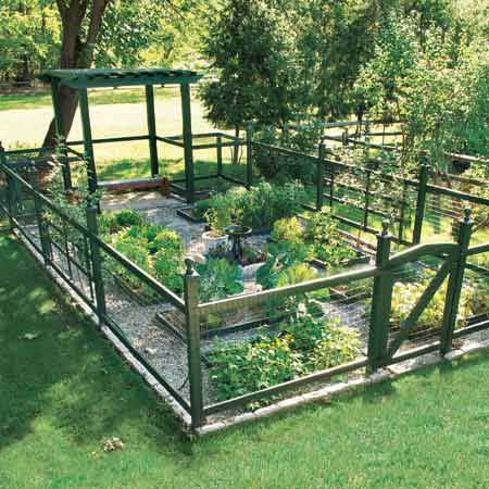 how to grow an herb garden outside photo - 1