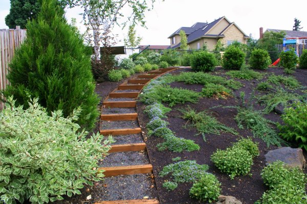how to landscape a sloped backyard photo - 1