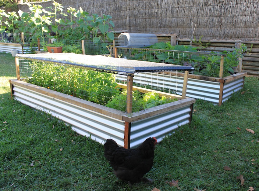 how to make a raised bed garden photo - 1