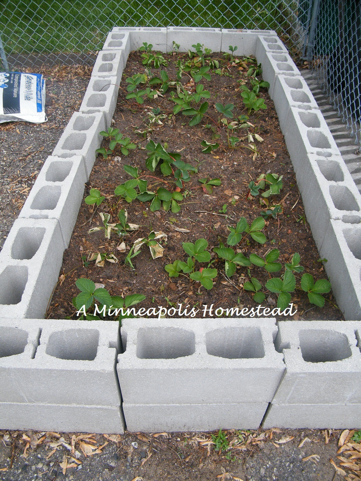 how to make a raised bed vegetable garden photo - 1