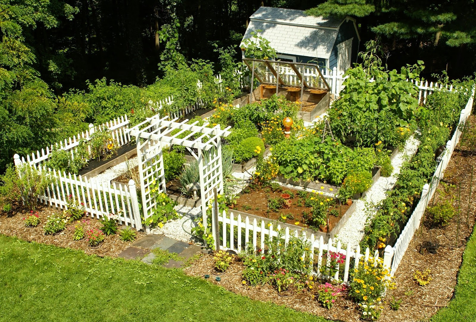 how to make a raised vegetable garden photo - 2
