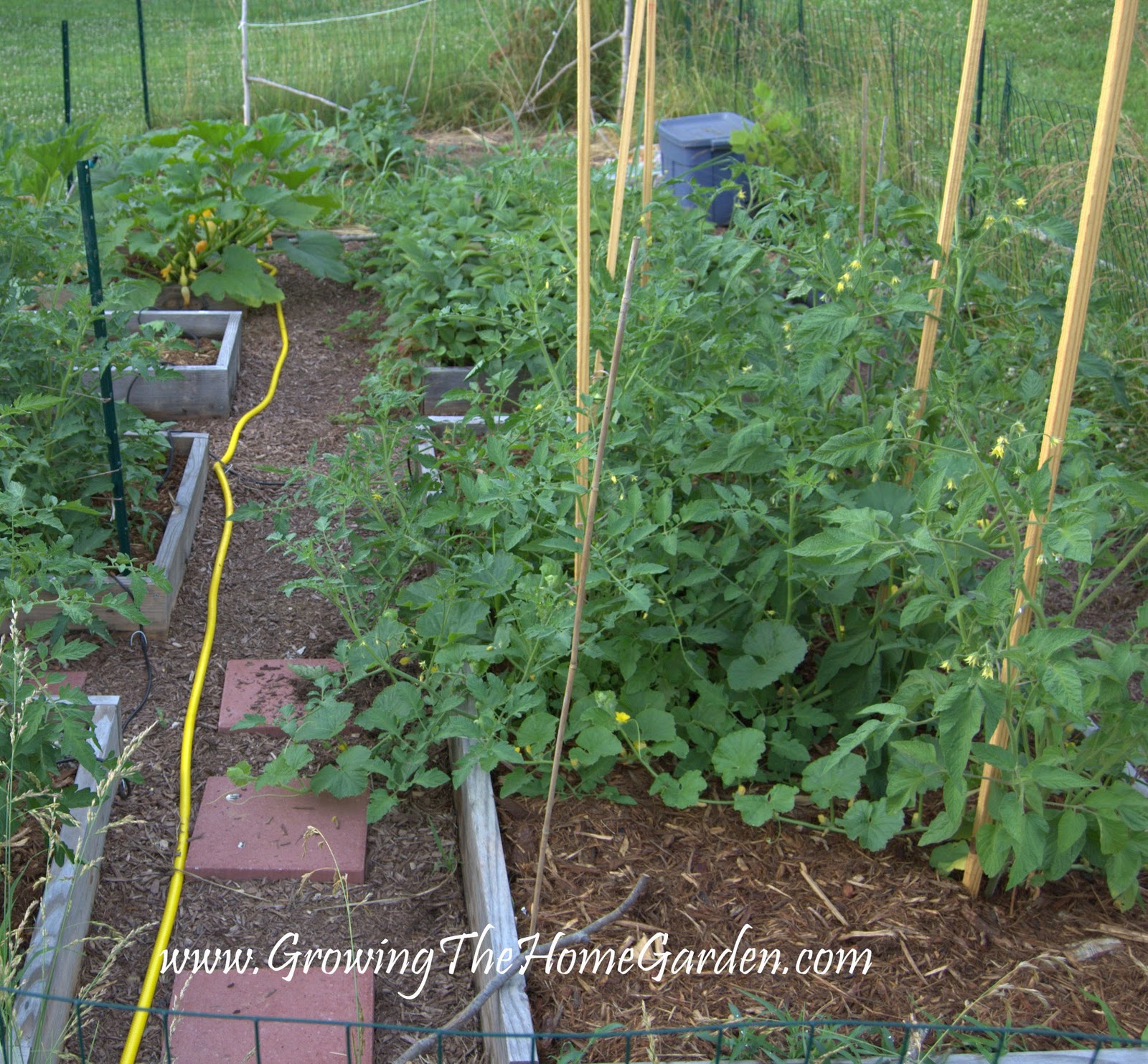 how to make a vegetable garden bed photo - 1