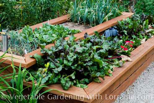 how to make a vegetable garden bed photo - 2