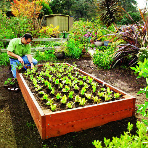 how to make raised bed garden photo - 2