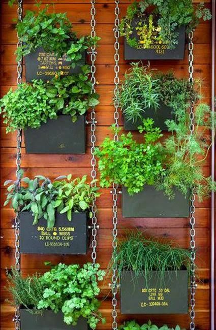 how to plant an herb garden outdoors photo - 1