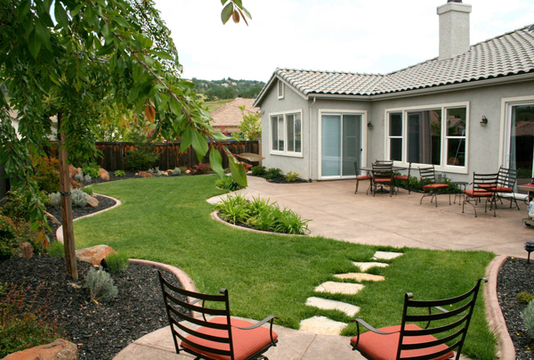 ideas for backyard landscaping on a budget photo - 2