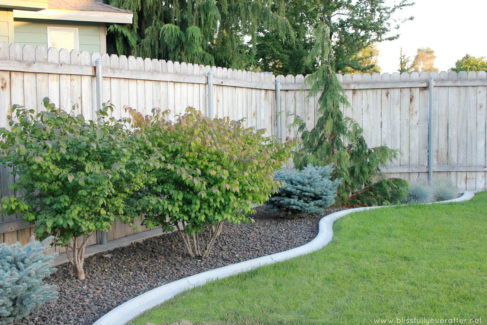 landscaping backyard ideas inexpensive photo - 1