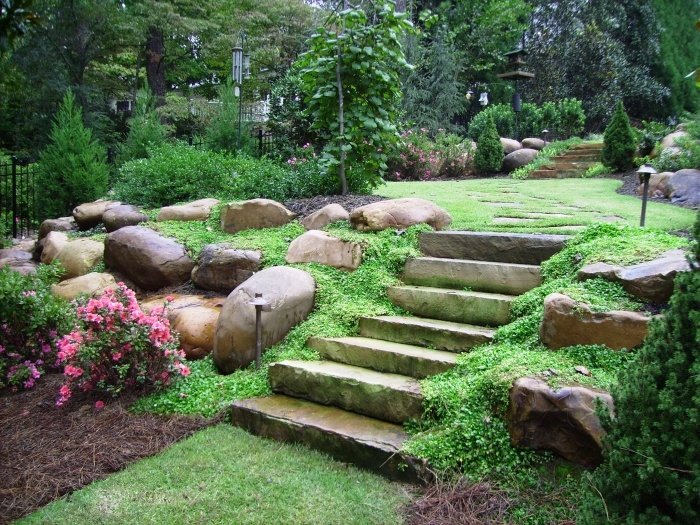landscaping ideas for backyard photo - 1