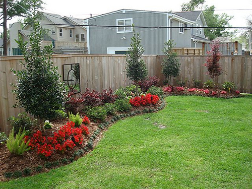landscaping your backyard photo - 2