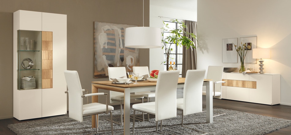 modern dining rooms photo - 1