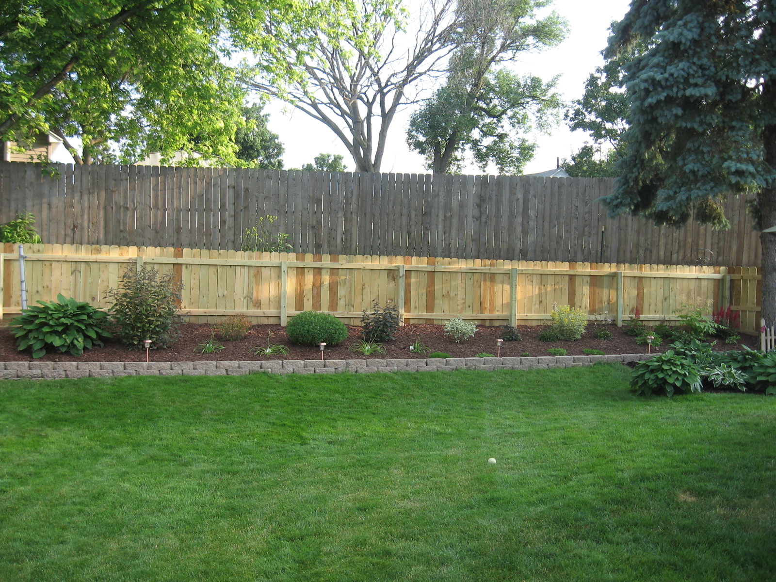 privacy fence ideas for backyard photo - 2