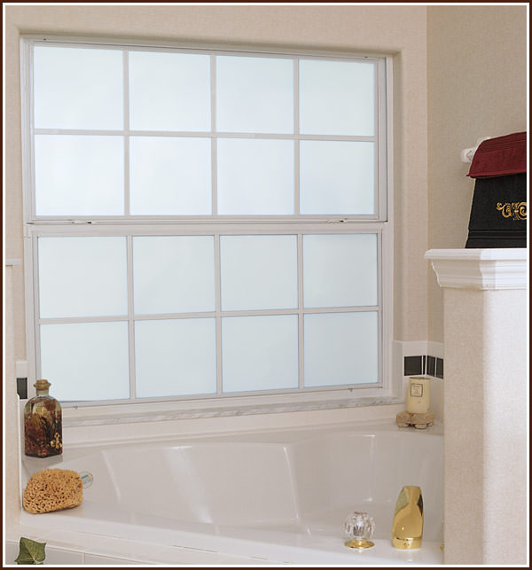 privacy windows for bathrooms photo - 1