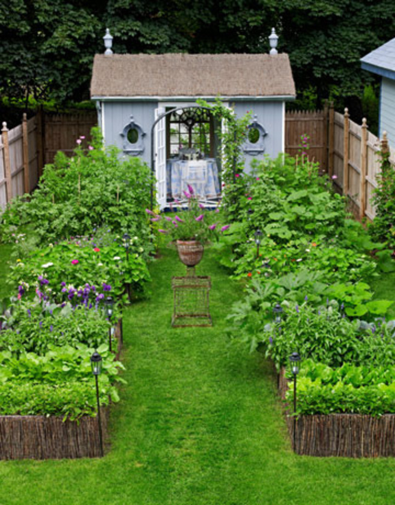 small backyard garden photo - 2