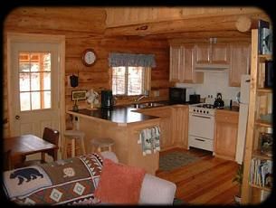 small cabin kitchens photo - 2