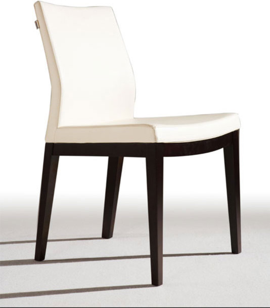 stylish dining chairs photo - 1